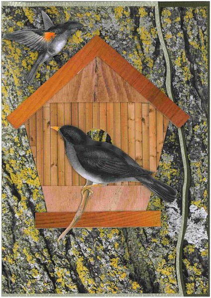 Alan's Birdhouse Card Project 01 - 14 pages to DOWNLOAD