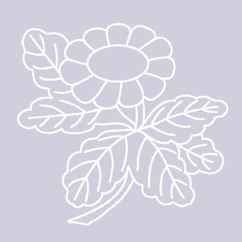 Digital White Work Daisy <b>Violet 4 Sizes - 4 x A4 Sheets Download